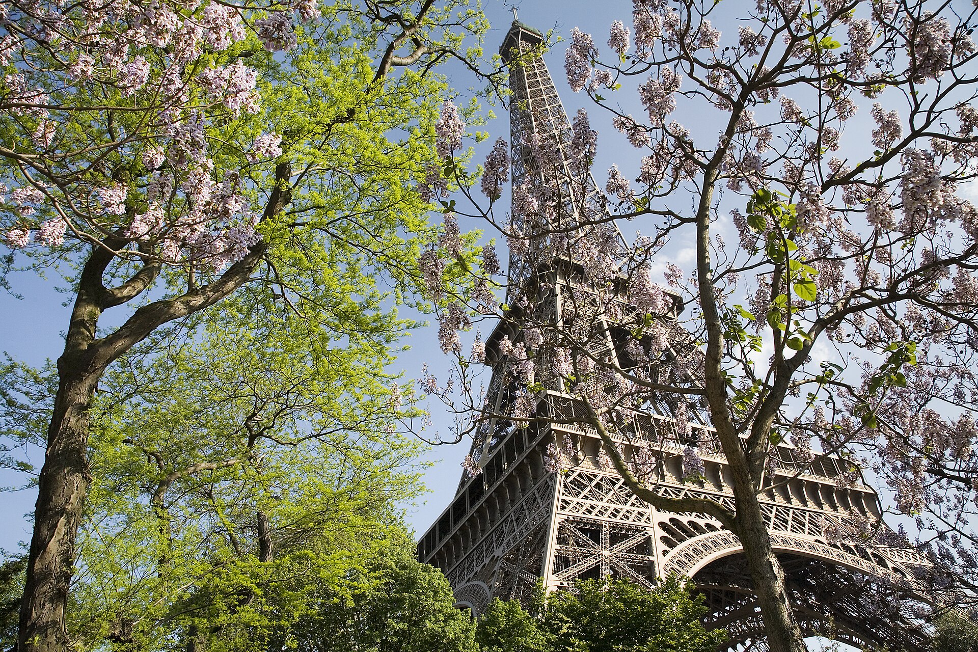 The Eiffel Tower seen from central Paris in spring